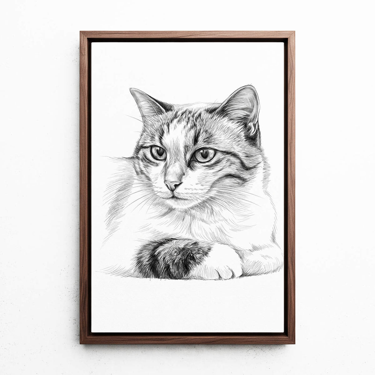 Retrato de gato em estilo lápis a partir da tua foto - tela com moldura nogueira