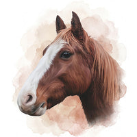Beispiele Pferde Aquarell